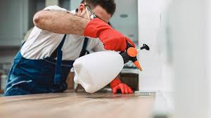 Best Pest Control for Multi-Family Homes  in Ashley, PA